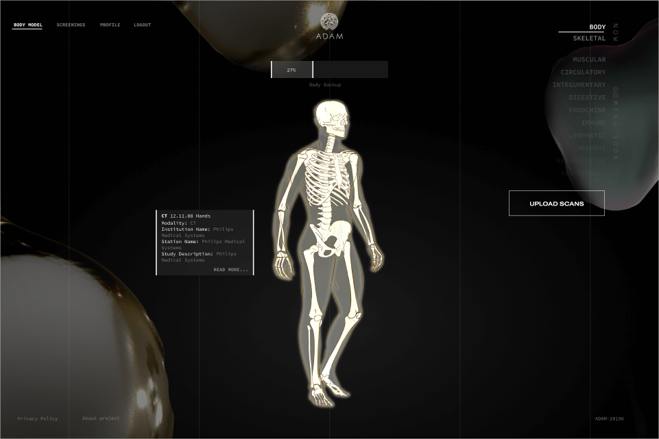 Virtual avatar for body parts visualization developed  by Softengi